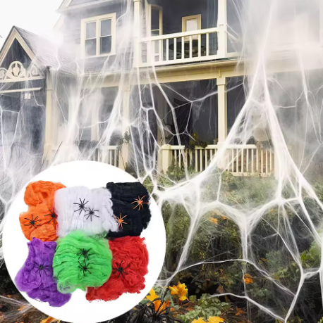 Spider Web Decoration