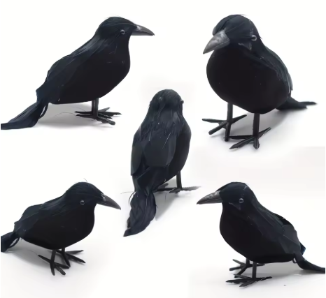 Realistic Black Raven