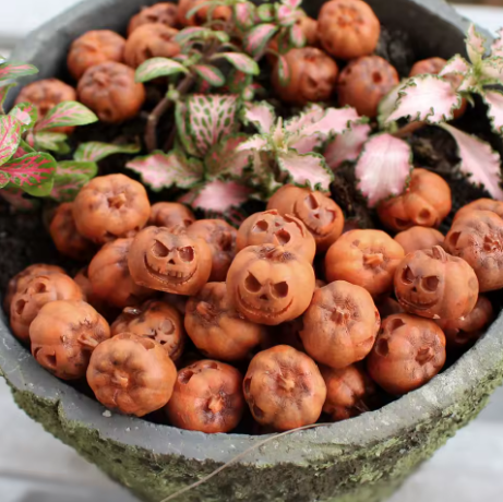 Face Pumpkin Decor Set