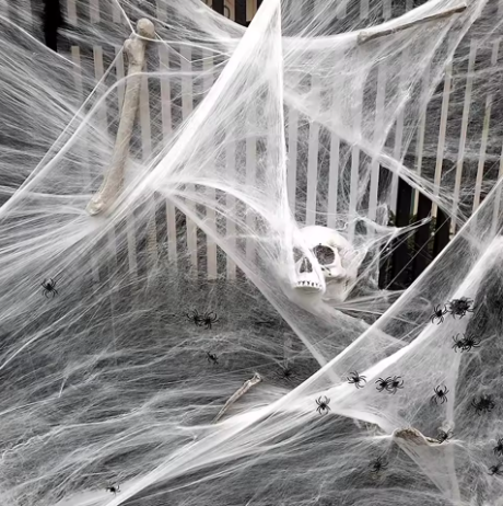 Spider Web Decoration